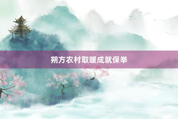 朔方农村取暖成就保举